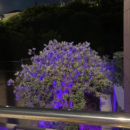 And Adriatic Blue Dubrovnik
